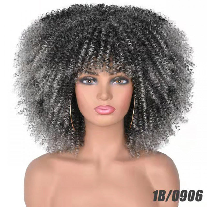 Afro Curly Wig - Small Curls Headpiece