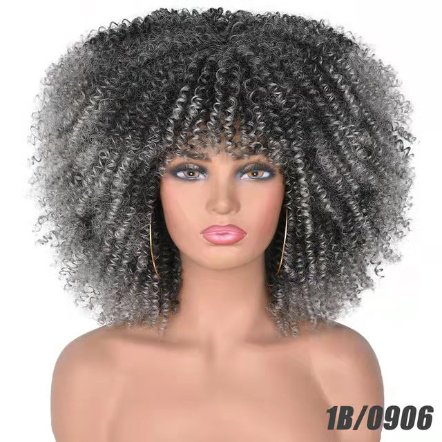Afro Curly Wig - Small Curls Headpiece